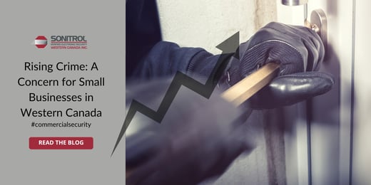 Rising Crime: A Concern for Small Businesses in Western Canada