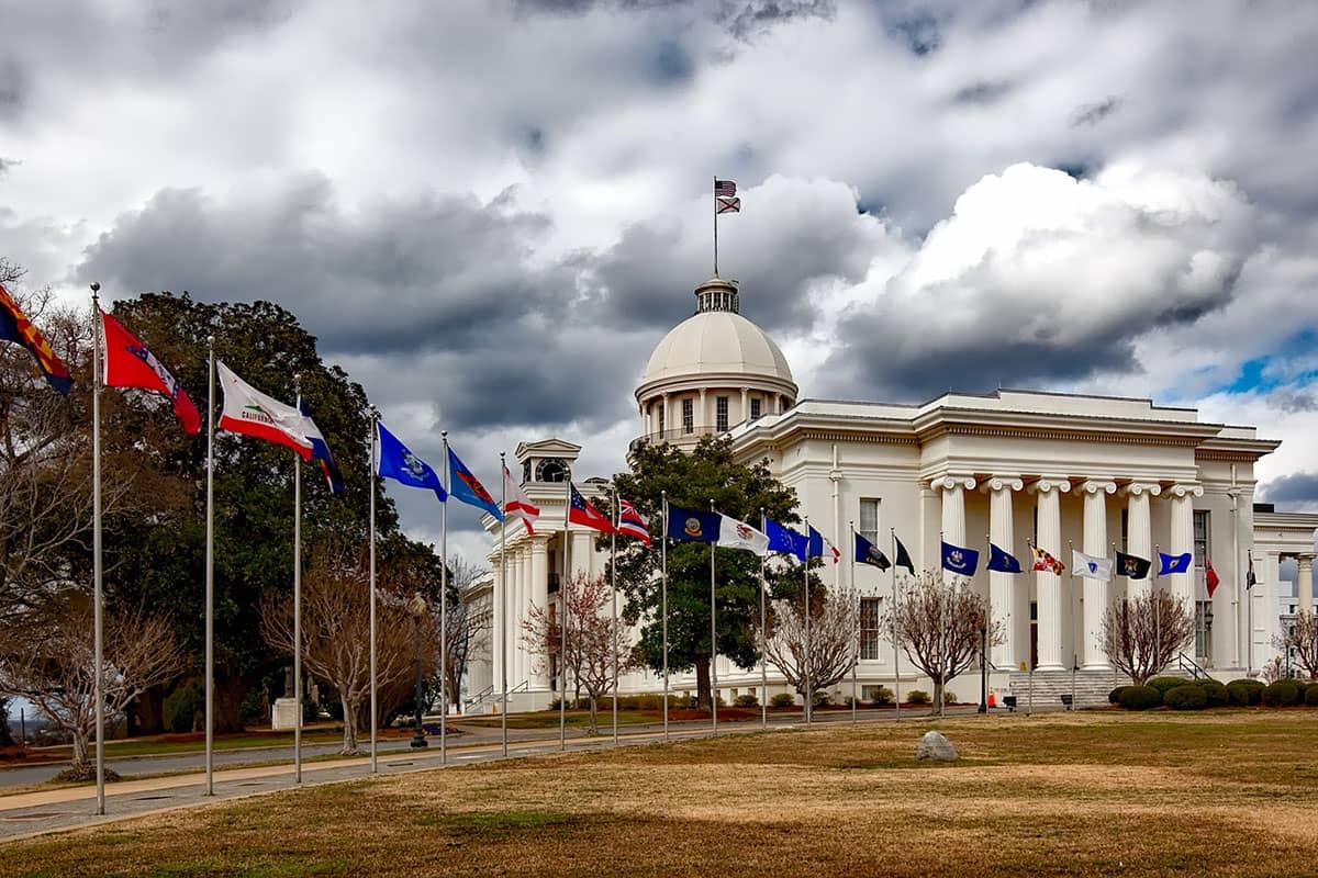 government (1)