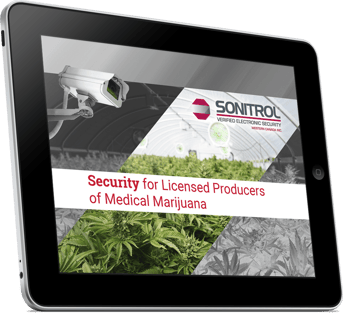 security-for-licensed-producers