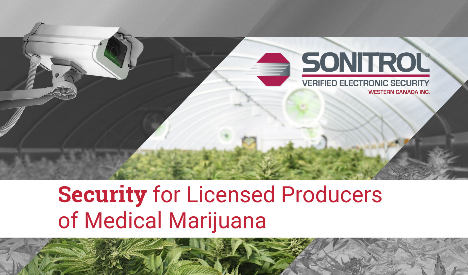 eBook Security for Cannabis Industry